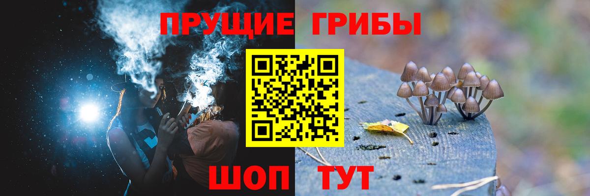 Псилоцибиновые грибы мицелий Ревда